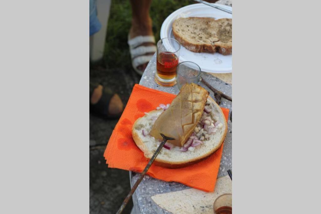 Balla Mama, Hajdúszoboszló المظهر الخارجي الصورة